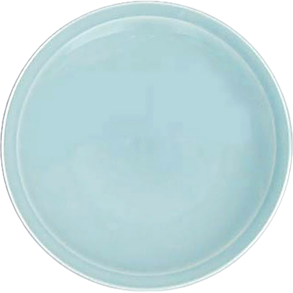 00020011 青磁 5 6寸皿（カネスズ） 19.1×2.6㎝ P.113 ￥1500（税抜）