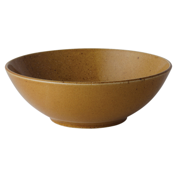 01611296 ﾒｶﾞ丼･ｷﾞｶﾞ丼 4 飴班点 尺盛鉢 29.7×10㎝ P.9 ￥8000（税抜）