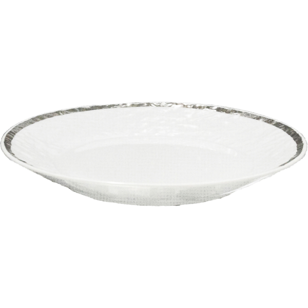 03541109 一品皿 2（プラチナボーダー）SX20㎝皿 20.2×2.4㎝ P.31